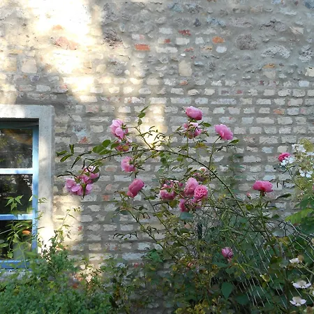 Spatzennest Appartement *